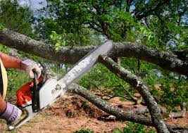 Lawn Grading and Leveling in Glendive, MT